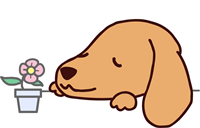 今月のクーポン