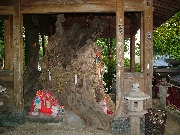 仙台縁結び・願いごとならここに行こう(1) 定義如来西方寺 仙台縁結び・願いごとならここに行こう(1) 定義如来西方寺