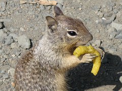 応援しよう！子どものスポーツ