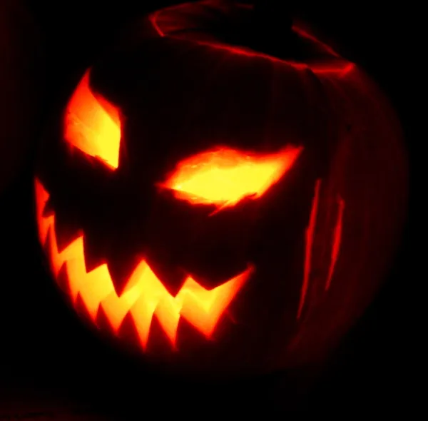 友達や家族と楽しもう!ハロウィンイベント情報まとめ* 友達や家族と楽しもう!ハロウィンイベント情報まとめ*