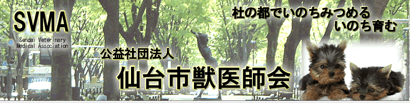 一人暮らし女子のおもてなしレシピ 一人暮らし女子のおもてなしレシピ