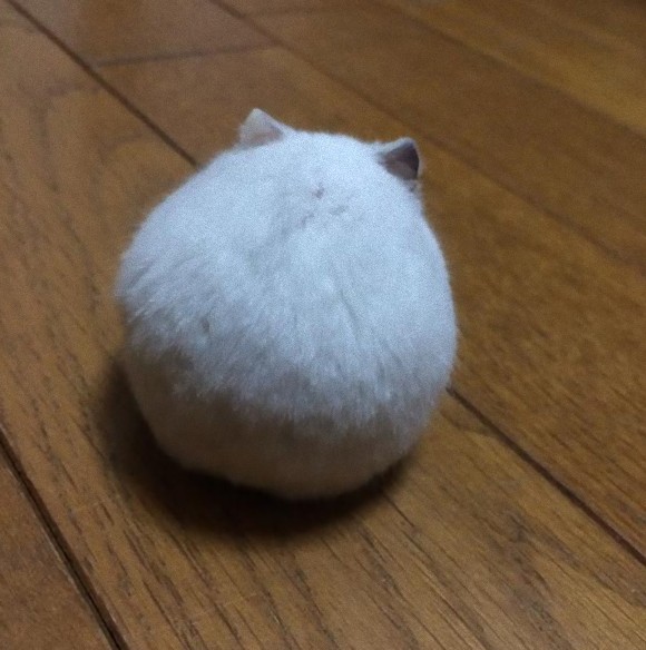 悩みを抱えた友人を励ましたい…ネガティブ思考を切り替える魔法の言葉（１）