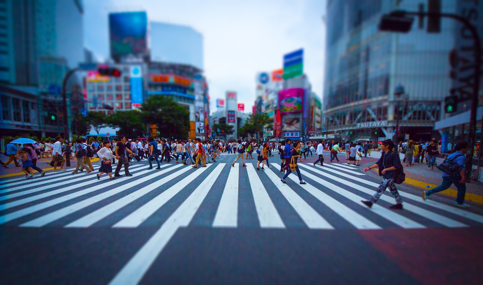 動きたくない人のための【その場運動ダイエット】を集めてみた(第3回) 動きたくない人のための【その場運動ダイエット】を集めてみた(第3回)