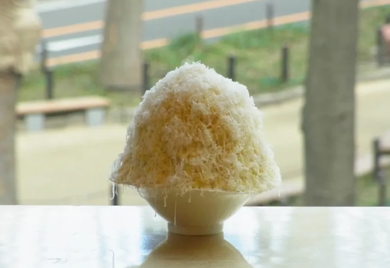 かき氷VSジェラート／／かき氷　梵くら