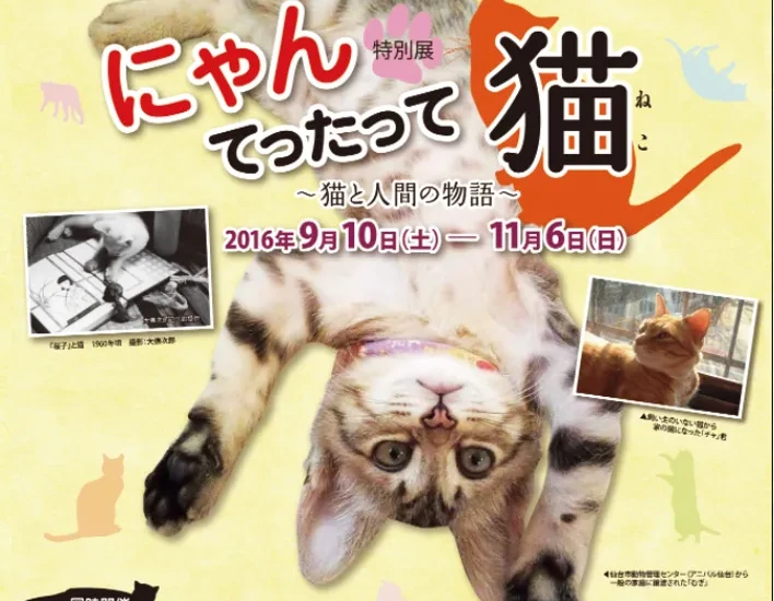 【抽選で10名様】特別展　にゃんてったって猫～猫と人間の物語～　2016年9月10日（土）～11月6日（日）