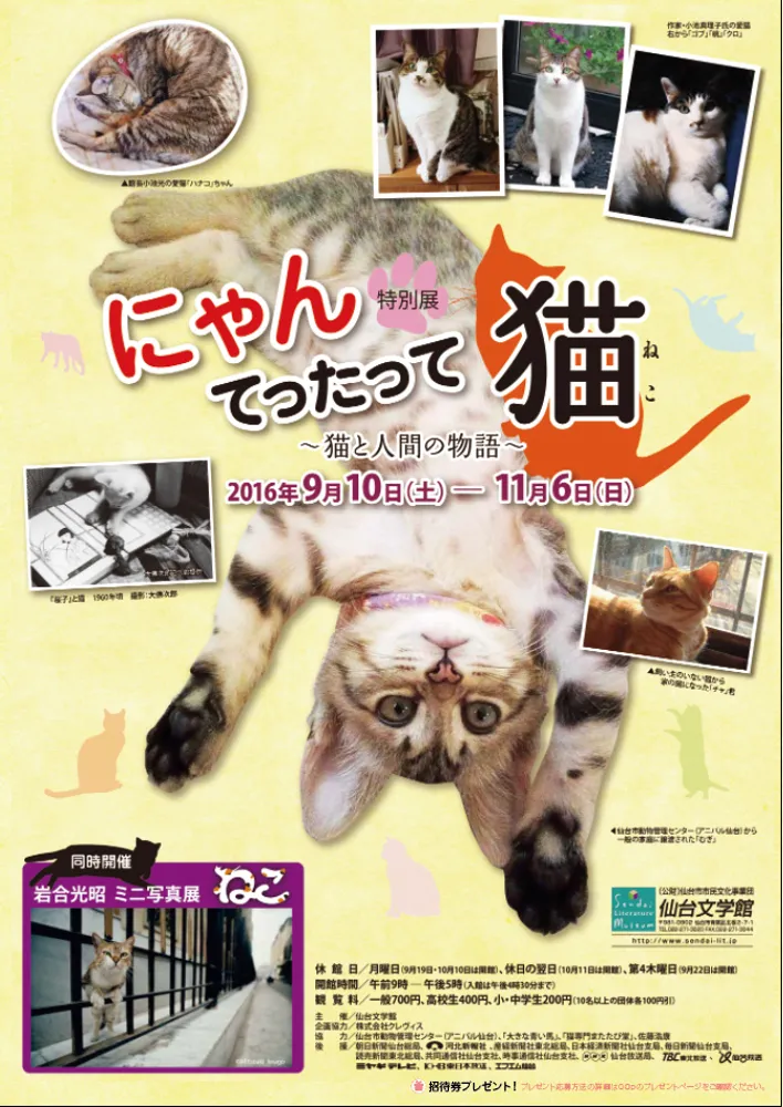 【抽選で10名様】特別展 にゃんてったって猫~猫と人間の物語~ 2016年9月10日(土)~11月6日(日) 【抽選で10名様】特別展 にゃんてったって猫~猫と人間の物語~ 2016年9月10日(土)~11月6日(日)