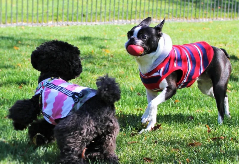 【Meスペシャルクーポン】湯の宿 アウザ猪苗代