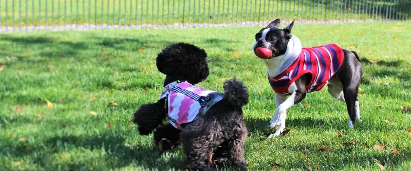 湯の宿 アウザ猪苗代