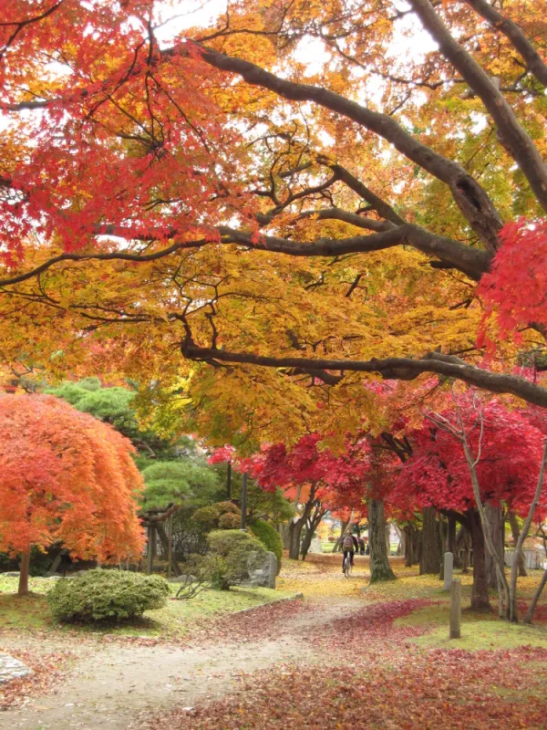 JRバスで行く日帰り紅葉巡り~岩手~その① JRバスで行く日帰り紅葉巡り~岩手~その①