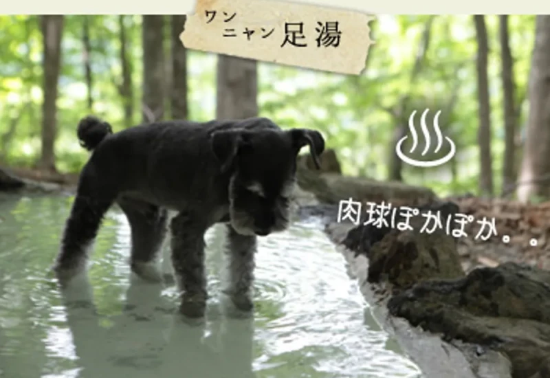 田沢プラトーホテル