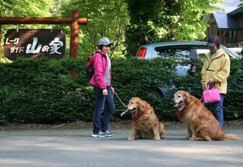 レークサイド　山の家