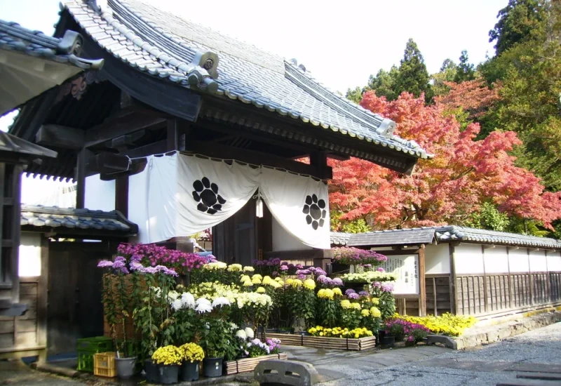 ＪＲバスで行く　日帰り紅葉巡り～福島～その①