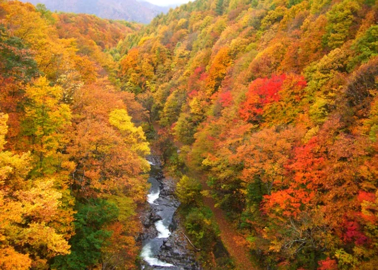 2016年仙台・宮城紅葉スポット一覧！