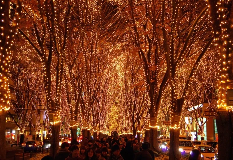 【12月9日点灯式】SENDAI光のページェント【12月31日まで】