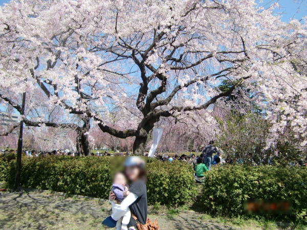 春だ!桜だ!お花見だ!宮城でお花見【榴岡公園編】 春だ!桜だ!お花見だ!宮城でお花見【榴岡公園編】