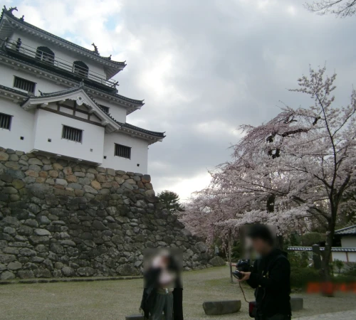 春だ!桜だ!お花見だ!宮城でお花見【益岡公園編】 春だ!桜だ!お花見だ!宮城でお花見【益岡公園編】