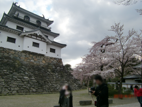 春だ!桜だ!お花見だ!宮城でお花見【益岡公園編】 春だ!桜だ!お花見だ!宮城でお花見【益岡公園編】