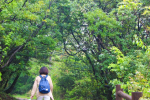 【仙台ミステリースポット】パワースポット？秋保大滝でマイナスイオン！
