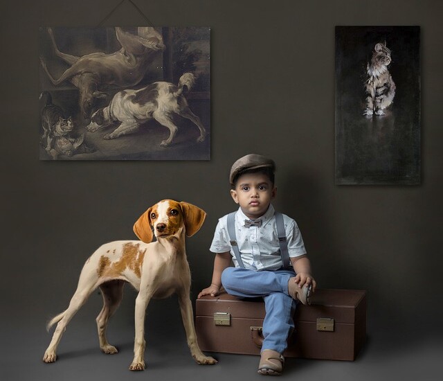 【仙台・ペットの里親になろう！】譲渡ペット…運命の出会いを実現するには？