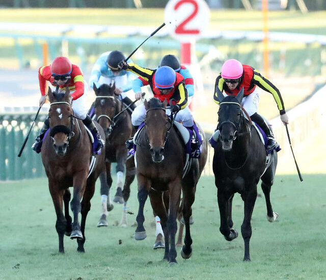 有馬記念2024！歴史的名勝負を振り返る✨