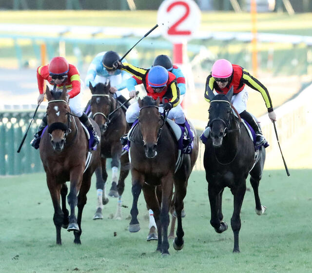 有馬記念2024!歴史的名勝負を振り返る✨ 有馬記念2024!歴史的名勝負を振り返る✨