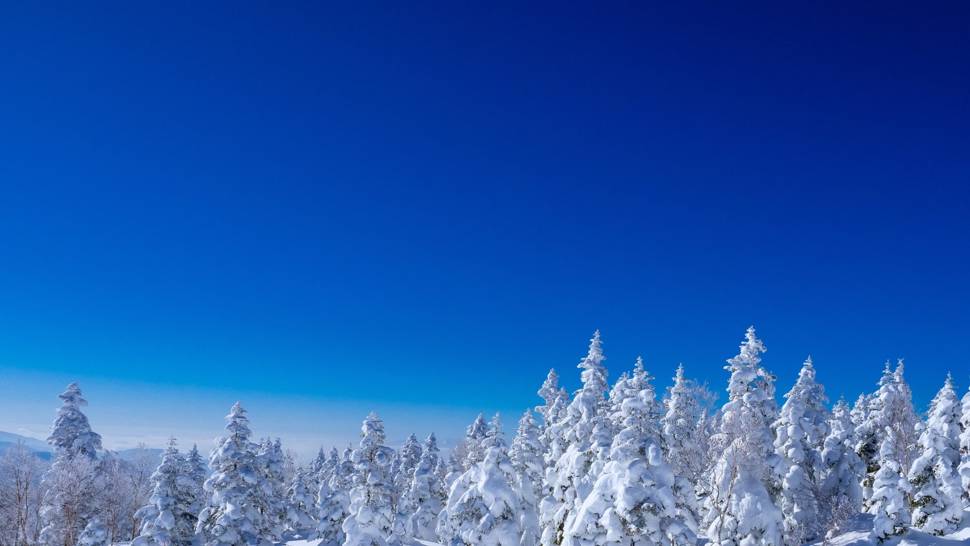 冬だからこそ訪れたい!宮城の名所おすすめスポット❄️ 冬だからこそ訪れたい!宮城の名所おすすめスポット❄️