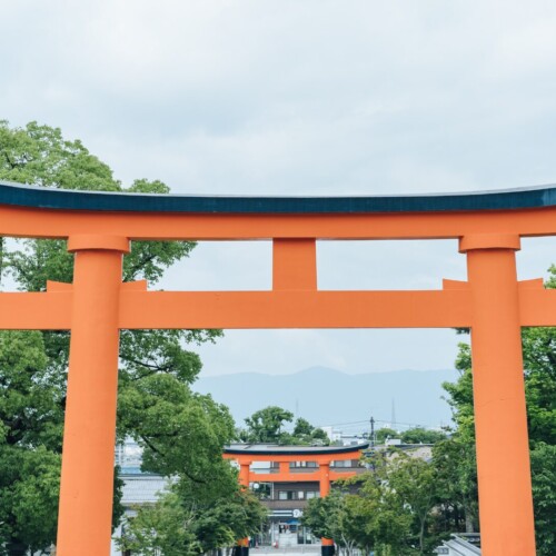 初詣は「大崎八幡宮」で開運祈願⛩✨ 初詣は「大崎八幡宮」で開運祈願⛩✨