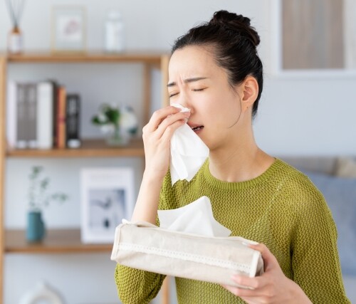 花粉症で顔がパンパン…朝のむくみを改善する詳しいルーティンとケア法【仙台の春を快適に】 花粉症で顔がパンパン…朝のむくみを改善する詳しいルーティンとケア法【仙台の春を快適に】