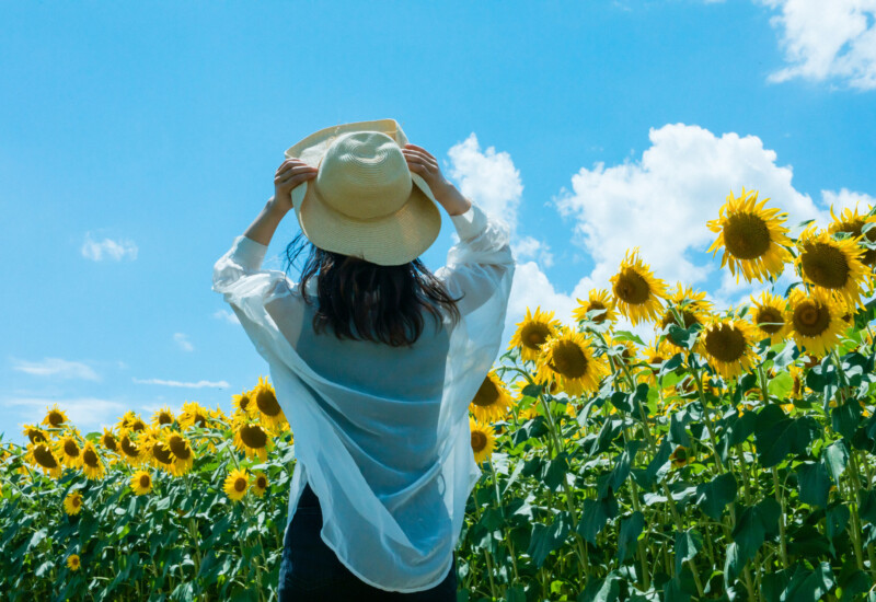 推しの夏イベントに行きたい人へ！今からでも間に合う女性向け副業4選