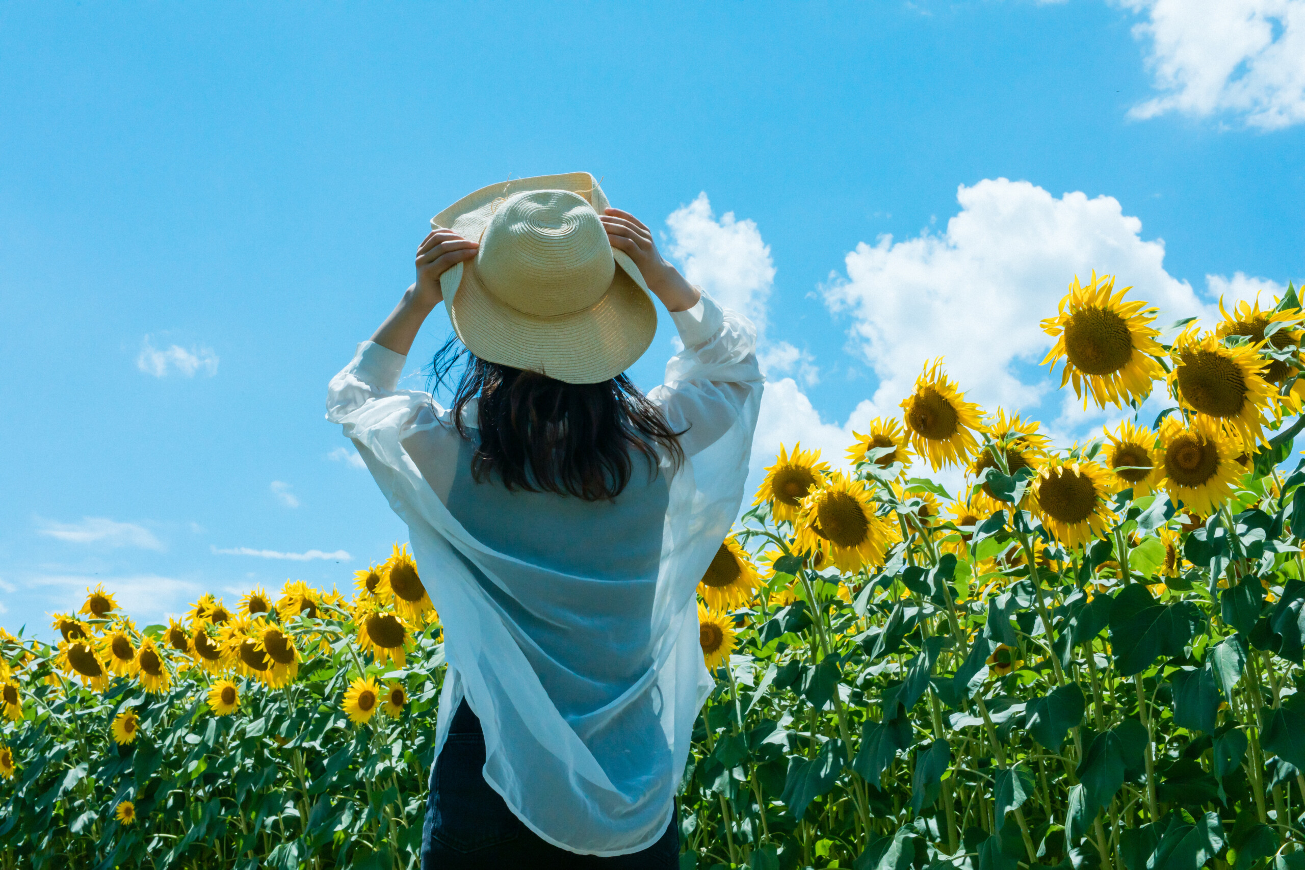 推しの夏イベントに行きたい人へ!今からでも間に合う女性向け副業4選 推しの夏イベントに行きたい人へ!今からでも間に合う女性向け副業4選