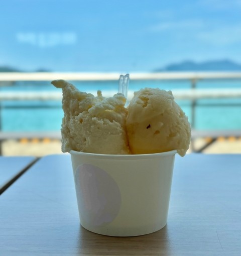 仙台で“今”食べたいご褒美アイス店4選【2025年8月最新】 仙台で“今”食べたいご褒美アイス店4選【2025年8月最新】